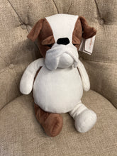 Load image into Gallery viewer, Cubbies Plush
