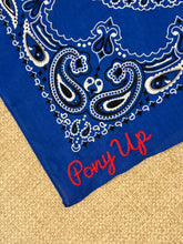 Load image into Gallery viewer, Embroidered Bandana
