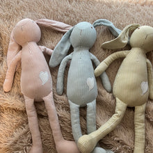 Load image into Gallery viewer, Pinstripe Bunny
