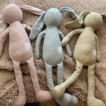 Load image into Gallery viewer, Pinstripe Bunny
